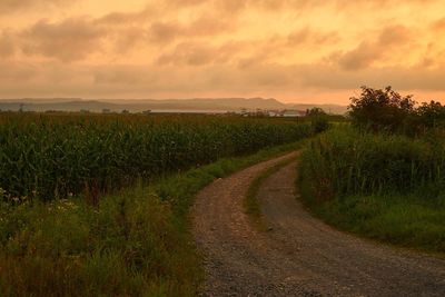 Scenic view of field against sky during sunset