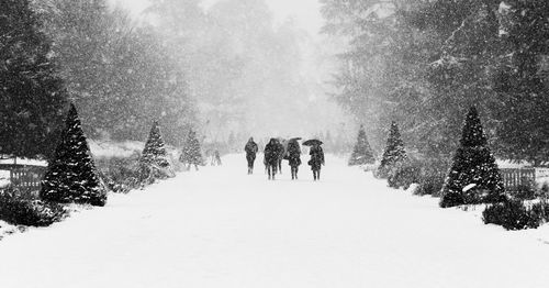 Rear view of people walking on snow covered land