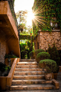 Low angle view of steps amidst trees and building against sky