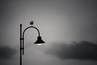 Low angle view of street light against sky