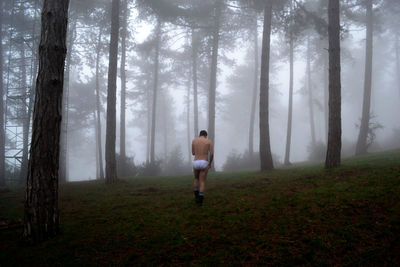 Rear view of man standing in forest