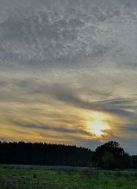 Scenic view of field against sky during sunset