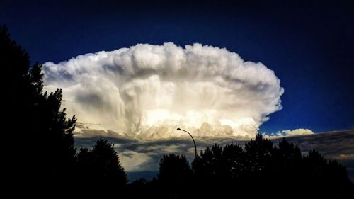Low angle view of trees against sky
