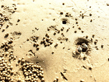 High angle view of footprints on sand at beach