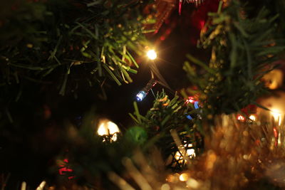 Close-up of illuminated christmas tree at night