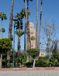 Palm trees by koutoubia mosque against clear sky