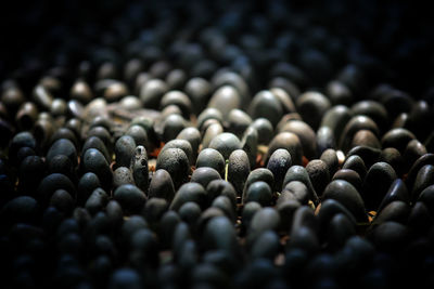 Full frame shot of black coffee beans