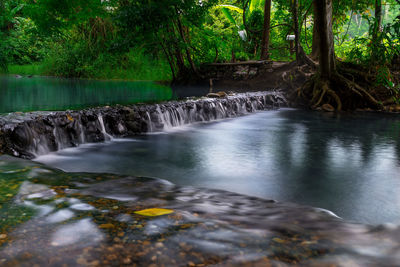 Scenic view of waterfall in forest