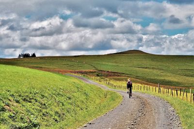 Rear view of man riding motorcycle on road