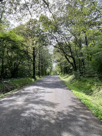 Empty road amidst trees in forest