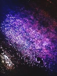 Full frame shot of pink petals