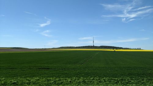 Scenic view of agricultural field against sky