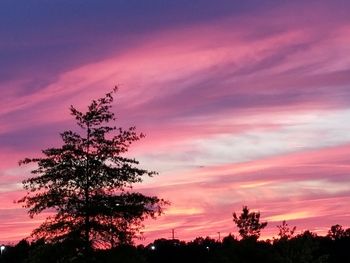 Silhouette tree against sky at sunset