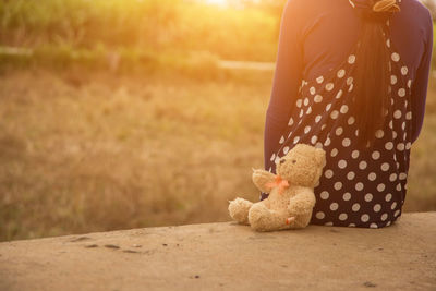 Close-up of stuffed toy on land