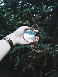 Hand holding mirror in forest