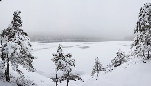 Scenic view of snow covered trees against sky