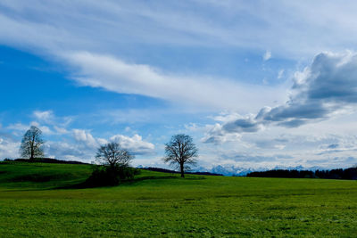Scenic view of field against blue sky