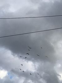 Low angle view of birds flying in sky