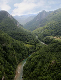 The tara river canyon also known as the tara river gorge,  montenegro.