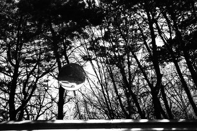 Low angle view of tree against sky
