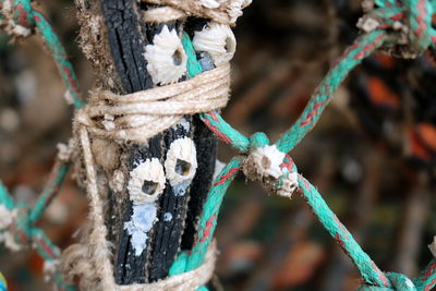 Close-up of rope on  a crab basket 