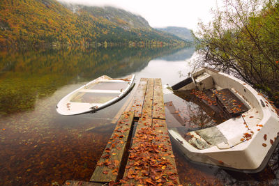 Scenic view of lake by trees during autumn