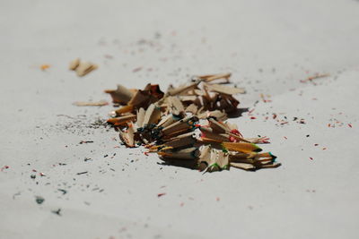 Close-up of pencil shavings on white background