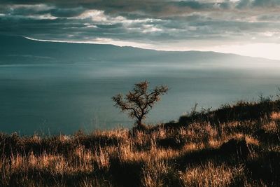 Scenic view of land against sky