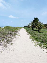 Dirt road amidst plants on field against sky