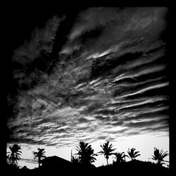 Low angle view of palm trees against cloudy sky