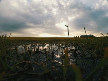 Scenic view of lake against cloudy sky