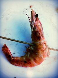 Close-up of food