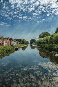 Trees and houses along canal with sky reflected on water in damme. a country village in belgium.