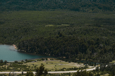 High angle view of trees on landscape