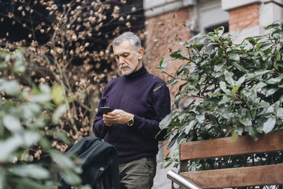 Portrait of man holding potted plant