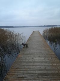 Wooden pier over lake against sky