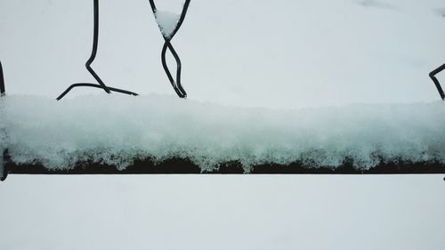 Close-up of bare tree against sky during winter