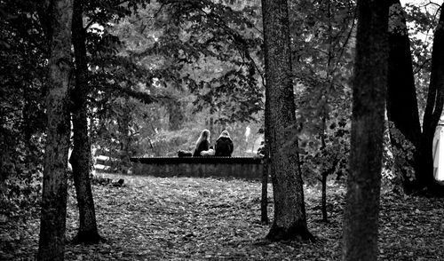 People sitting in a forest