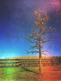 Silhouette of trees on field against sky