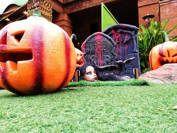 View of pumpkins on field