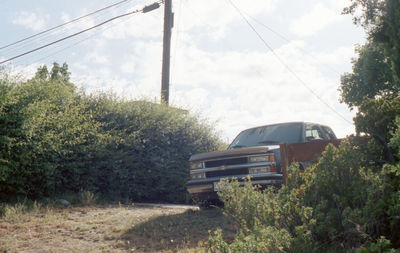 Plants by road against sky