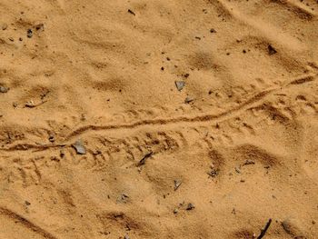 Full frame shot of a sand