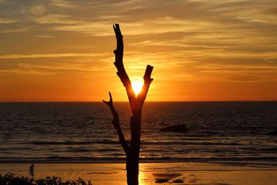 Scenic view of sunset over sea