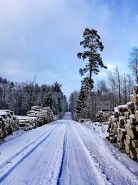 Snow covered road by trees against sky