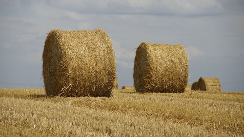 Hay bales on field