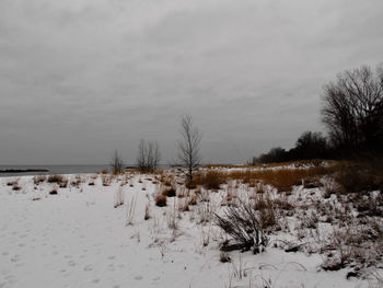 Scenic view of snow covered field against sky