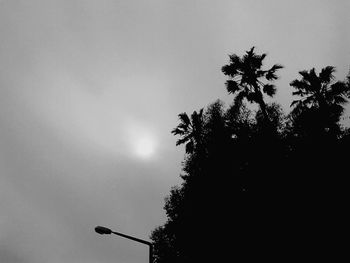 Low angle view of silhouette trees against clear sky