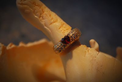 Close-up of ring with heart shape gemstone