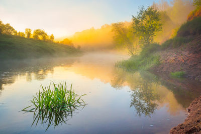 Beautiful foggy spring morning landscape of a river with grass growing in the foreground.