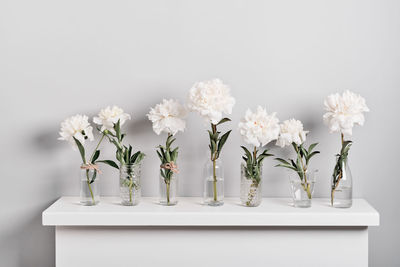 Close-up of flowers on table